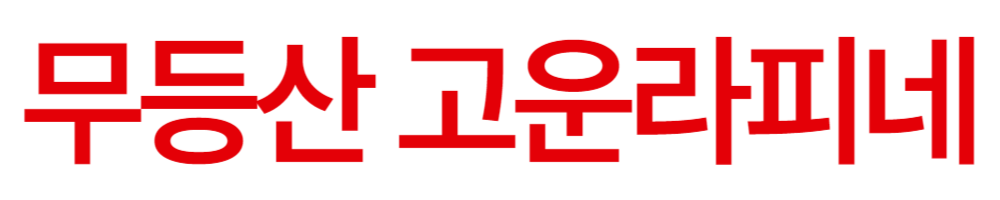 무등산 고운라피네